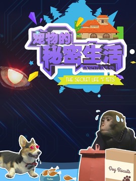 宠物的秘密生活