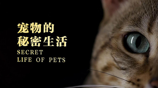 宠物的秘密生活（2022年电视剧）