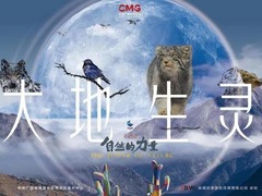 自然的力量&middot;大地生灵