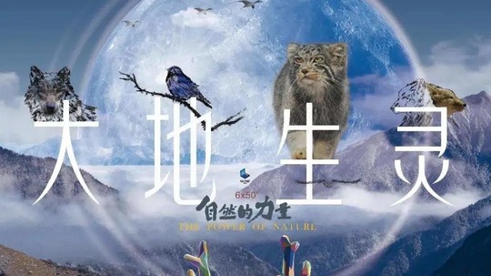 自然的力量·大地生灵（2022年电视剧）