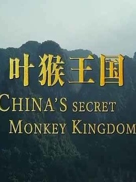 叶猴王国
