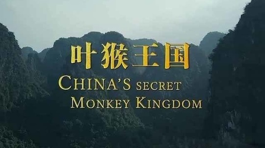 叶猴王国（2022年电视剧）