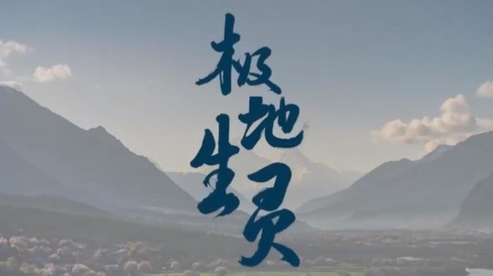 极地生灵（2022年电视剧）