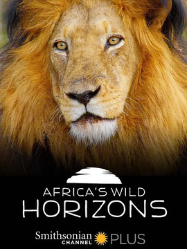 非洲狂野地平线