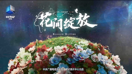 花间绽放（2022年电视剧）