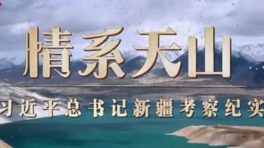 情系天山（2022年电视剧）