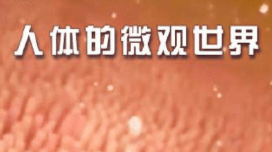 人体的微观世界（2022年电视剧）
