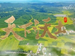 天下沃土