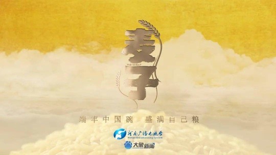 麦子（2022年电视剧）