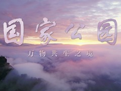 国家公园：万物共生之境