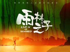 雨林之子