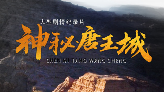 神秘唐王城（2023年电视剧）