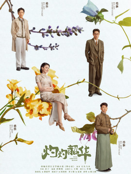 灼灼韶華