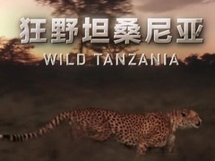狂野坦桑尼亚