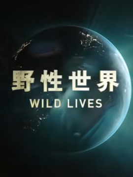 野性世界