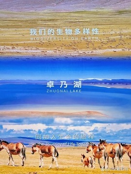 我們的生物多樣性-卓乃湖
