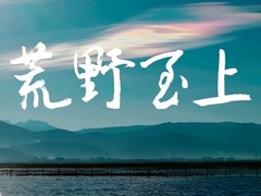 荒野之上