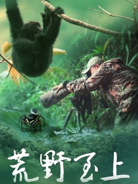 荒野之上