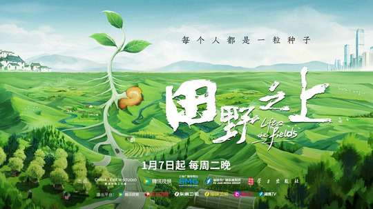 田野之上（2025年电视剧）