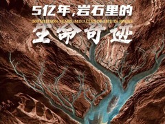 5亿年，岩石里的生命奇迹