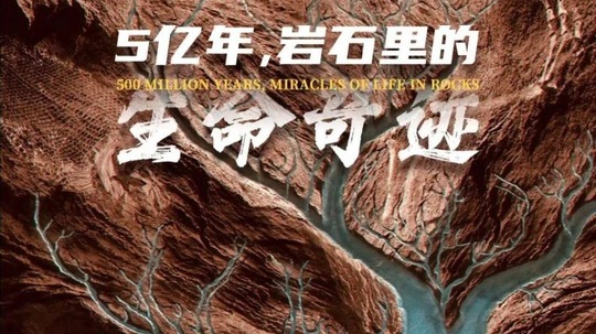 5亿年，岩石里的生命奇迹（2025年电视剧）