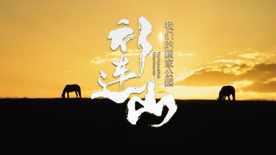 祁连山-我们的国家公园（2024年电视剧）