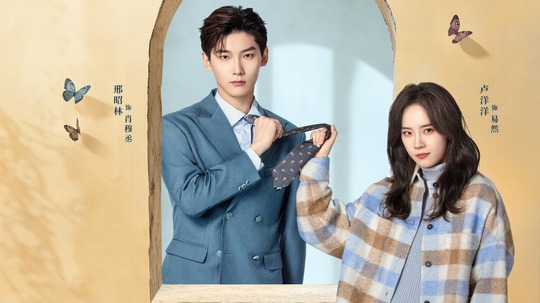 我的差评女友（2025年电视剧）