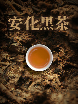 安化黑茶