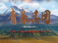 青春兵团