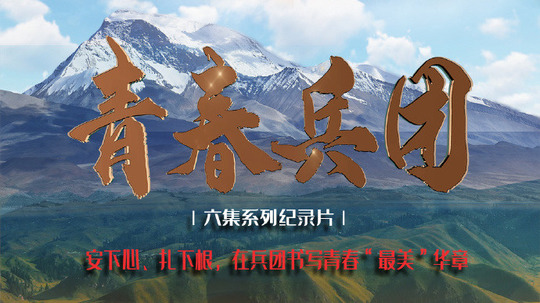 青春兵团（2024年电视剧）