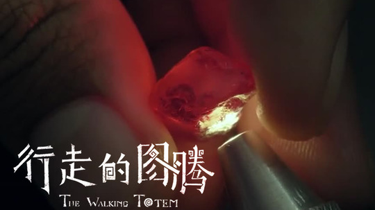 行走的图腾（2021年电视剧）