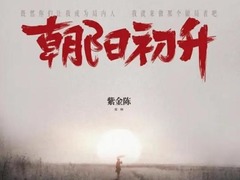 朝阳初升 贺刚