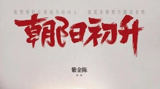 朝阳初升（2025年电视剧）