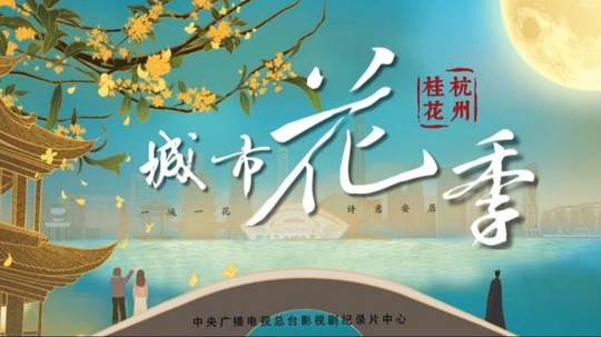 城市花季 杭州桂花（2025年电视剧）