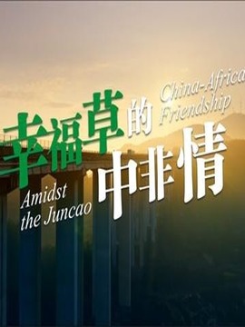 幸福草的中非情