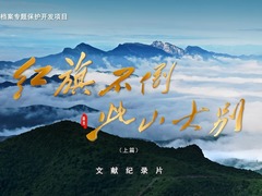 红旗不倒，此山大别