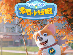 飞狗MOCO之家有小短腿