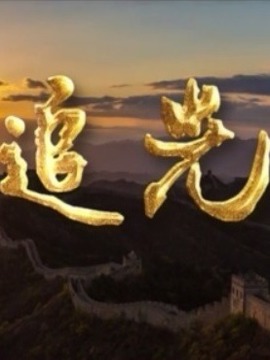 逐光