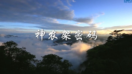 神农架密码（2022年电视剧）