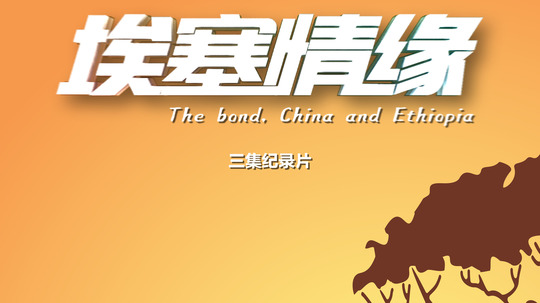 埃塞情缘（2020年电视剧）