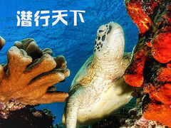 潜行天下
