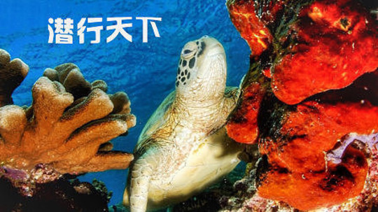 潜行天下（2020年电视剧）