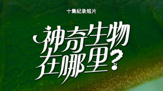 神奇生物在哪里？（2024年电视剧）