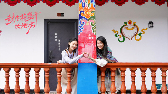 去桃花盛开的地方（2025年电视剧）