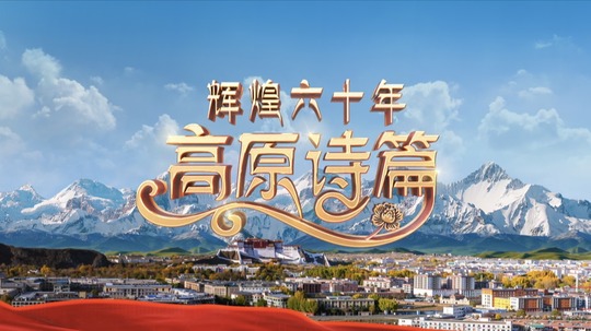 辉煌六十年：高原诗篇（2025年电视剧）