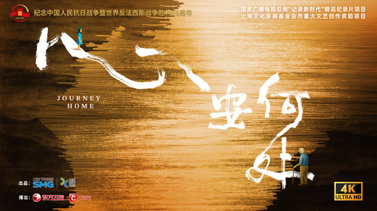 心安何处（2025年电视剧）