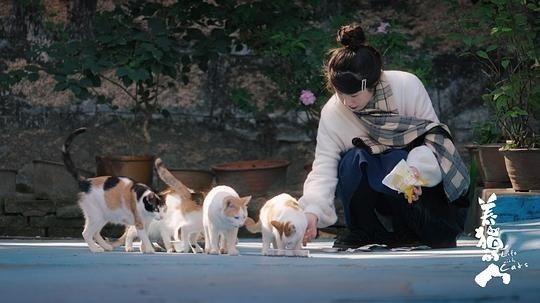 养猫的人（2024年电视剧）