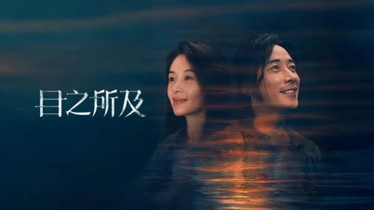 目之所及（2025年电视剧）