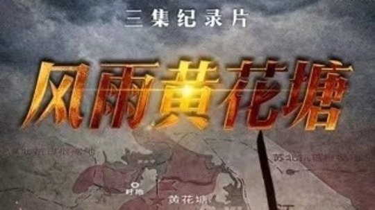 风雨黄花塘（2023年电视剧）