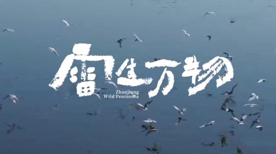 雷生万物（2024年电视剧）